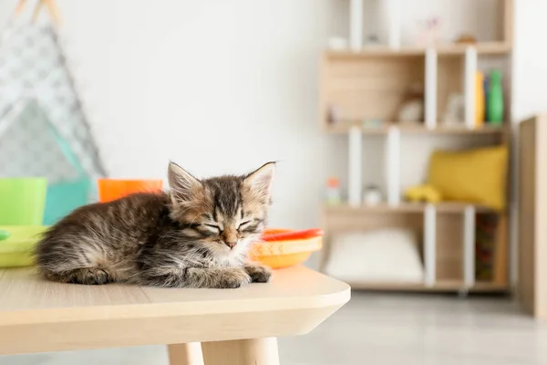Urocza mała kotek na stole w pokoju — Zdjęcie stockowe