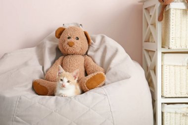 Odada beanbag sandalyede oyuncak ayı ile sevimli kedi yavrusu