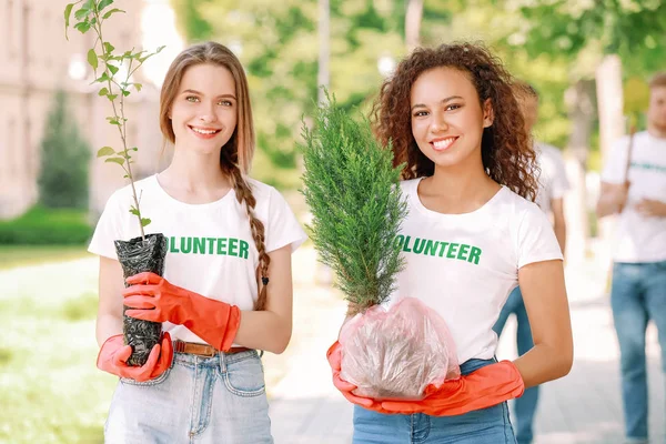 Kobiety wolontariusze z młodymi drzewami na zewnątrz — Zdjęcie stockowe