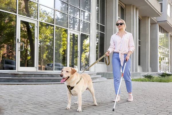 Young blind woman with guide dog outdoors — Stock Photo, Image