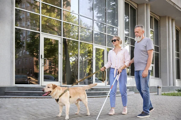 Blind woman with her father and guide dog outdoors — Stock Photo, Image
