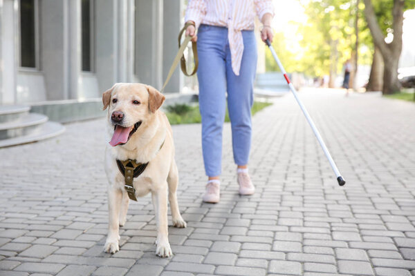 Young blind woman with guide dog outdoors