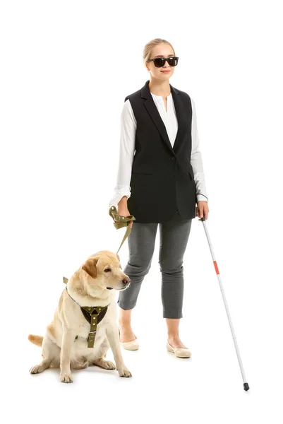 Young blind woman with guide dog on white background — Stock Photo, Image