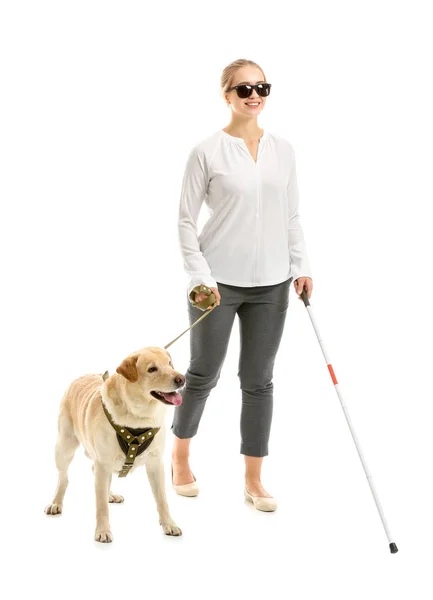 Νεαρή τυφλή γυναίκα με σκύλο-οδηγό σε λευκό φόντο — Φωτογραφία Αρχείου