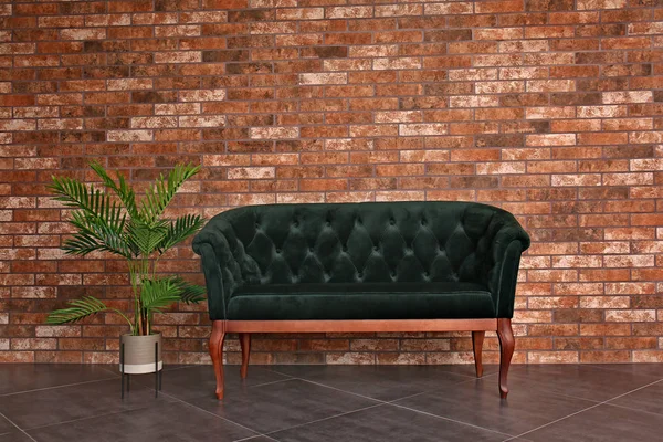 Cómodo sofá y planta de interior cerca de la pared de ladrillo — Foto de Stock