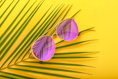 Renk arka planda palmiye yaprağı ile şık güneş gözlüğü