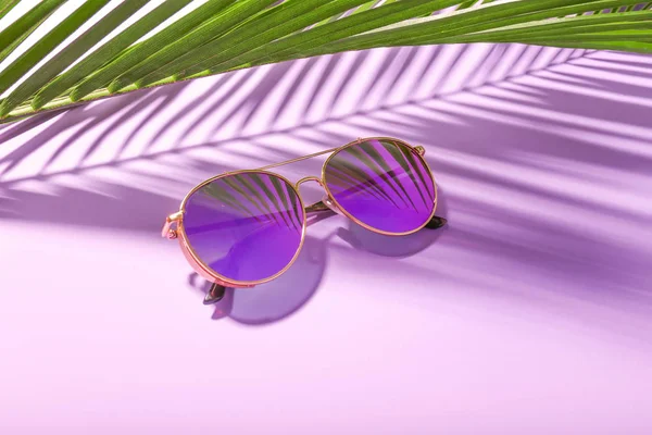 时尚的太阳镜，带棕榈叶的颜色背景 — 图库照片
