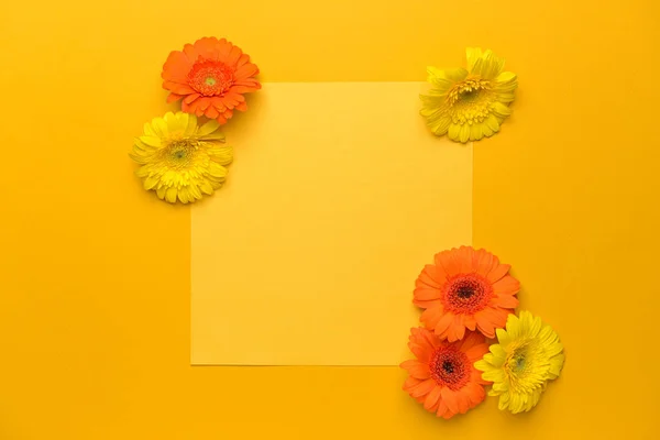 Blank card and beautiful gerbera flowers on color background — Stock Photo, Image