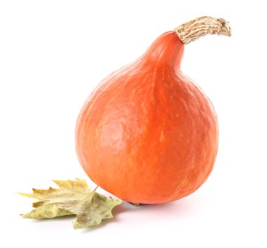 Beyaz arkaplanda taze balkabağı