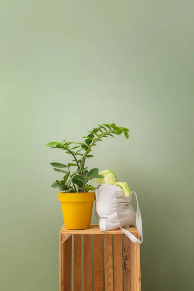 Borsa Eco con cavolo e pianta in vaso su sfondo colore — Foto Stock