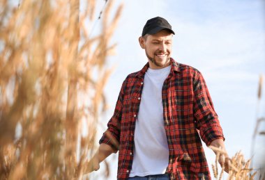 Güneşli günde tarlada çiftçi