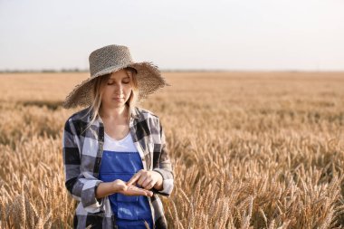Güneşli günde tarlada çiftçi