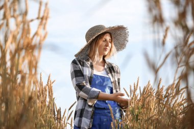 Güneşli günde tarlada çiftçi