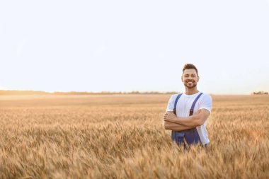 Güneşli günde tarlada çiftçi