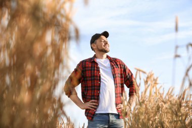 Güneşli günde tarlada çiftçi