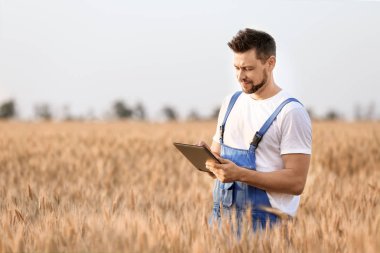 Güneşli günde tarlada çiftçi