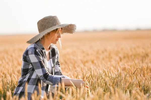 Farmář v terénu za slunečného dne — Stock fotografie