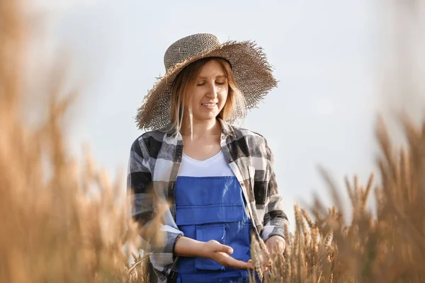 Agricultor em campo no dia ensolarado — Fotografia de Stock