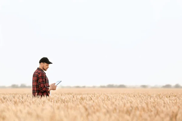 Farmář v terénu za slunečného dne — Stock fotografie