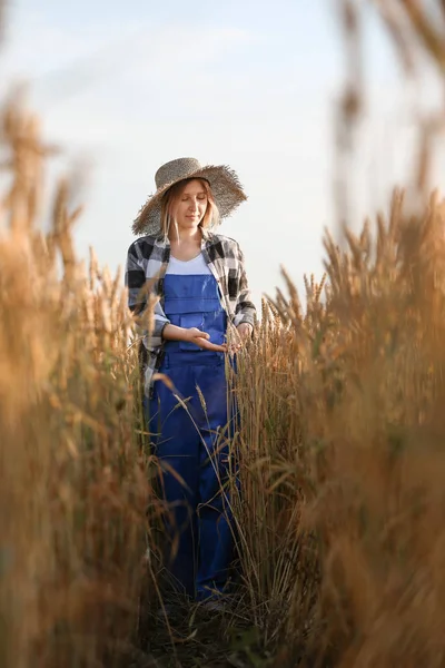 Farmář v terénu za slunečného dne — Stock fotografie