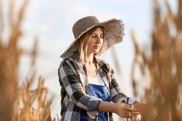 Güneşli günde tarlada çiftçi — Stok fotoğraf