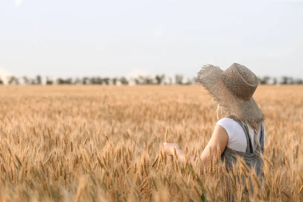 Farmer in field on sunny day — Stock Photo, Image