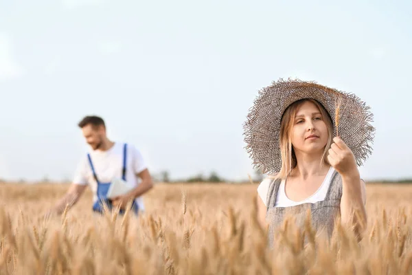 Farmers in field on sunny day — Stock Photo, Image