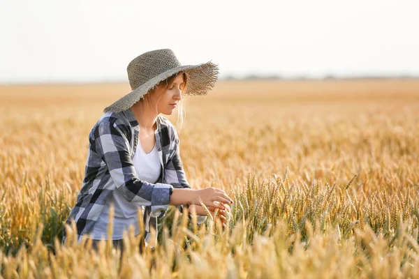 Farmář v terénu za slunečného dne — Stock fotografie