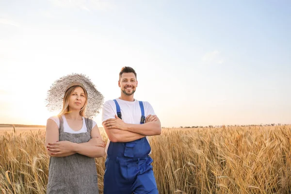 Buğday tarlasında çiftçilerin portresi — Stok fotoğraf