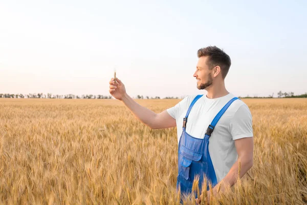 Portrait of farmer in wheat field — Stock Photo, Image