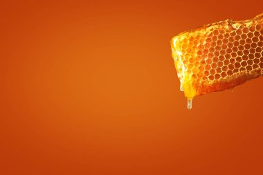 Renkli arka planda petek