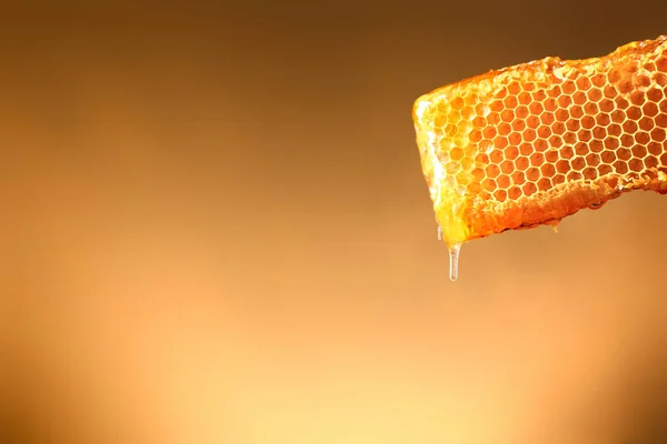 Favo de mel no fundo da cor — Fotografia de Stock