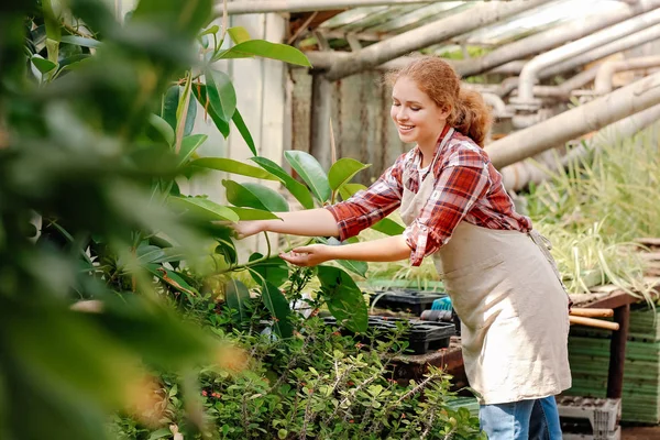 Portrait of female gardener working in greenhouse — Stock Photo, Image