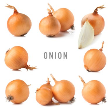 Beyaz arka plan üzerinde çiğ soğan ile ayarlayın