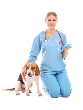 Beyaz arka planda sevimli köpek ile Kadın veteriner