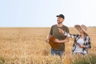 Güneşli alan çiftçilerin
