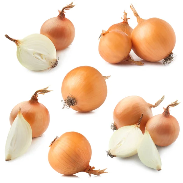 Set mit rohen Zwiebeln auf weißem Hintergrund — Stockfoto