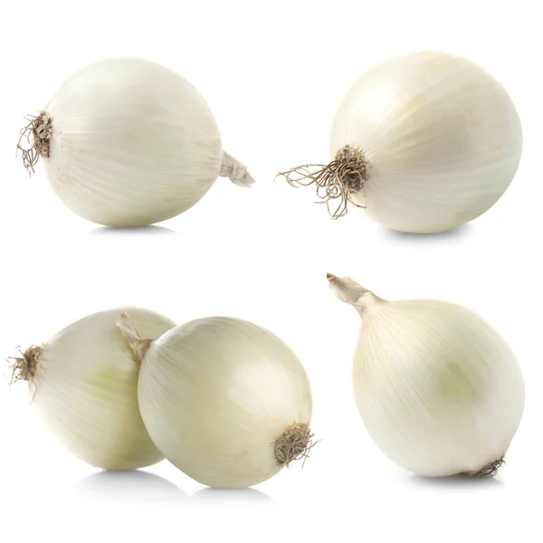 Set con cebolla cruda sobre fondo blanco — Foto de Stock