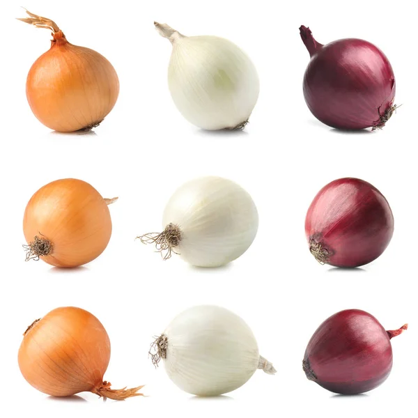 Set con diversa cipolla cruda su sfondo bianco — Foto Stock