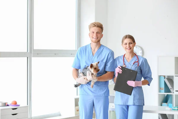 Veterinarians with cute dog in clinic — Stock Photo, Image