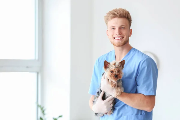 Veterinarian with cute dog in clinic — Stock Photo, Image