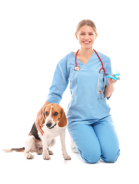 Женщина ветеринар с симпатичной собакой на белом фоне
