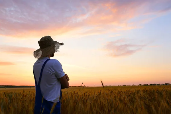 Чоловічий фермер у пшеничному полі на заході сонця — стокове фото