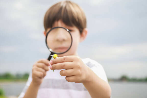Мальчик с увеличительным стеклом изучает природу на открытом воздухе
