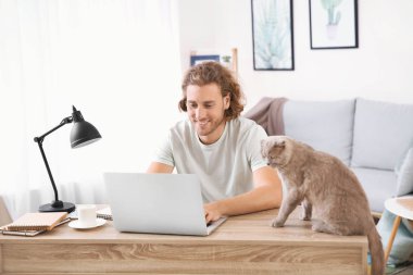 Evde dizüstü bilgisayar üzerinde çalışan sevimli komik kedi ile Adam