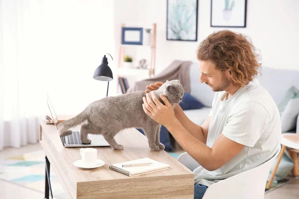 Man stroking cute funny cat while working at home — Stock Photo, Image