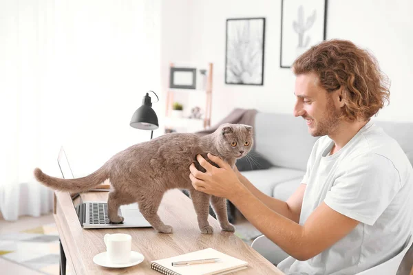 Adam evde çalışırken sevimli komik kedi okşayarak — Stok fotoğraf