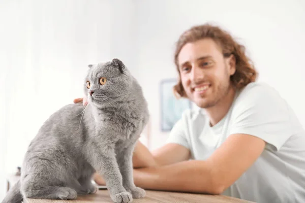 Man with cute funny cat at home — Stock Photo, Image