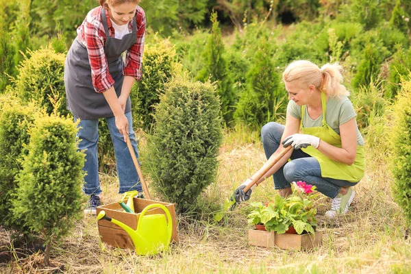 Female gardeners taking care of plants outdoors — Stock Photo, Image