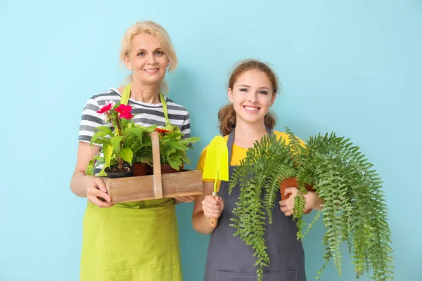 Portrait of female gardeners on color background — Stock Photo, Image